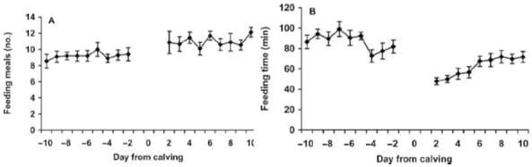 El preparto y sus implicaciones reproductivas en ganado lechero - Image 4