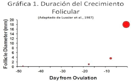 El posparto temprano y sus implicaciones reproductivas en ganado lechero - Image 1