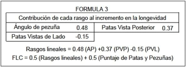 Selección genética de toros y su impacto en la producción lechera - Image 13