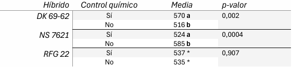 El control químico de la chicharrita del maíz ¿impacta en el rendimiento?. Experiencia durante el pico poblacional de 2024 - Image 1