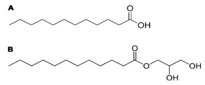 La alpha-monolaurina estimula al sistema inmune - Image 1