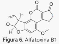 Aflatoxina B1: Cuando los alimentos se vuelven tóxicos - Image 1