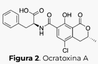 Aflatoxina B1: Cuando los alimentos se vuelven tóxicos - Image 1