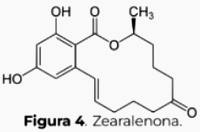 Aflatoxina B1: Cuando los alimentos se vuelven tóxicos - Image 4