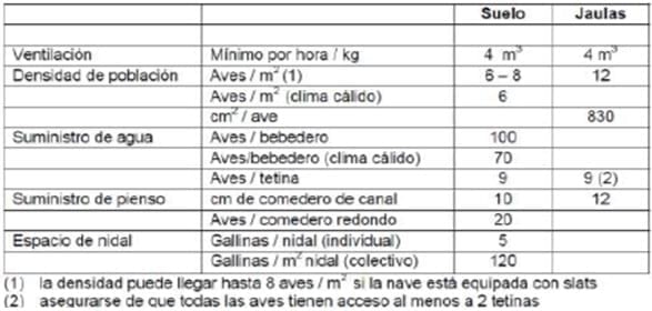 Diseño de ventilación en un galpón de reproductora liviana - Image 7