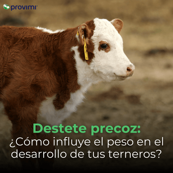 Destete precoz exitoso - Image 1