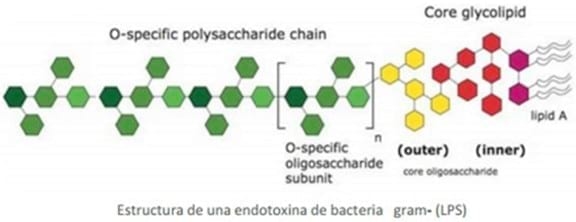 El desafío de las toxinas sobre IGF1 y su efecto en la productividad - Image 1