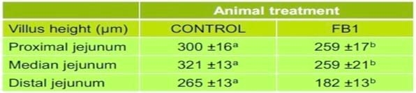 El desafío de las toxinas sobre IGF1 y su efecto en la productividad - Image 7