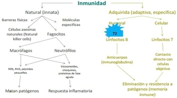 El desafío de las toxinas sobre IGF1 y su efecto en la productividad - Image 3