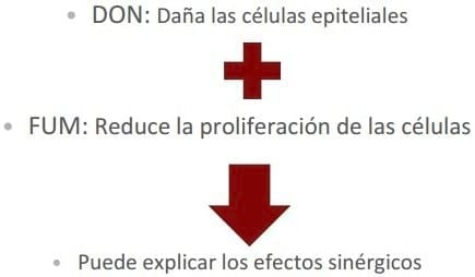 El desafío de las toxinas sobre IGF1 y su efecto en la productividad - Image 8