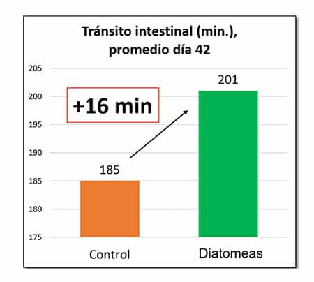 Gráfico 1: se observa mayor tiempo de tránsito en los lotes suplementados con diatomeas.