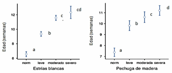 Severidad de miopatías de pechuga y su relación con indicadores de bienestarproductivos, fisiológicos y de comportamiento en pollos de engorde - Image 1