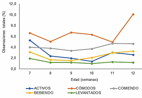 Severidad de miopatías de pechuga y su relación con indicadores de bienestarproductivos, fisiológicos y de comportamiento en pollos de engorde - Image 3