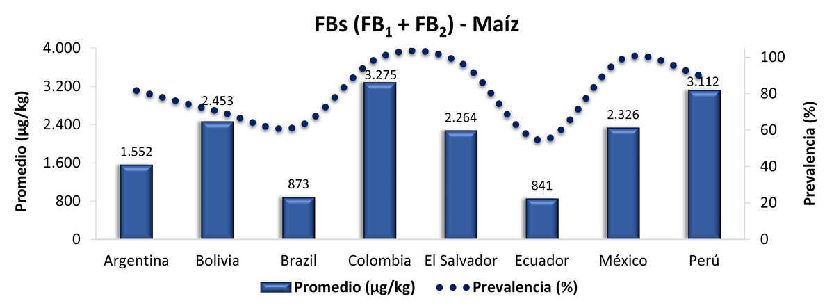 Contaminación micotoxicológica del maíz en América Latina - Año 2024 - Image 1