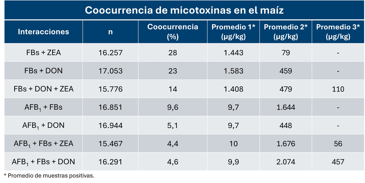 Contaminación micotoxicológica del maíz en América Latina - Año 2024 - Image 9