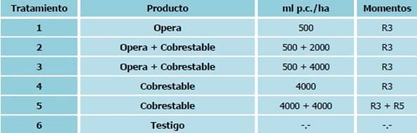 Evaluación de fungicidas foliares para el manejo del complejo de enfermedades de fin de ciclo en soja - Image 1