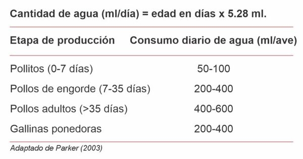 Calidad y cantidad de agua en producciones avícolas y porcícolas - Image 5