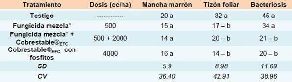 Evaluación de productos para el manejo de enfermedades en cultivo de soja, ciclo agrícola 2011/2012 - Image 5