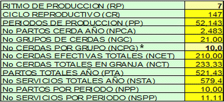 Parámetros para lograr buenos resultados económicos en la granja porcina - Image 1