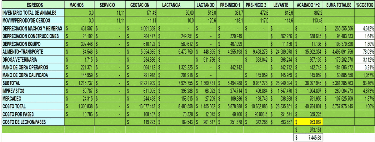 Parámetros para lograr buenos resultados económicos en la granja porcina - Image 2
