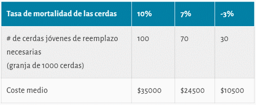 Maximizar la vida productiva de las cerdas para una producción porcina sostenible - Image 3