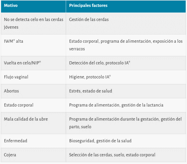 Maximizar la vida productiva de las cerdas para una producción porcina sostenible - Image 4