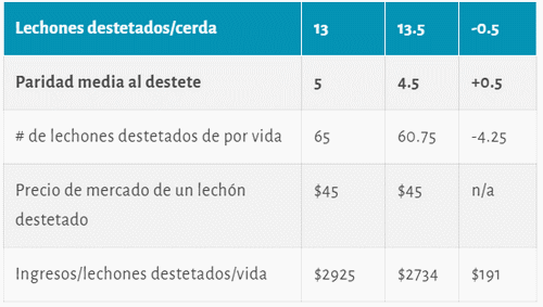 Maximizar la vida productiva de las cerdas para una producción porcina sostenible - Image 2
