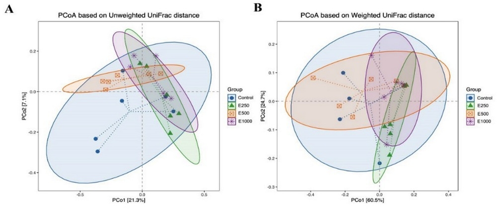 Efectos de la suplementación alimentaria con glucosa oxidasa sobre el rendimiento, digestibilidad aparente de aminoácidos ileales y microbiota ileal de pollos broiler - Image 1