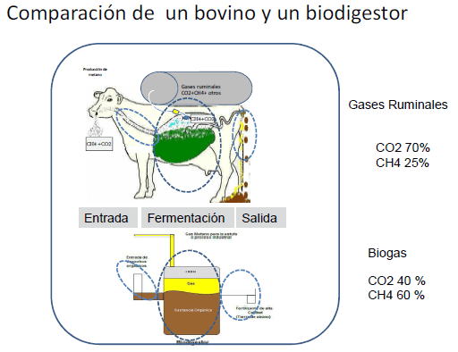 Producción de energía a partir de los gases ruminales del bovino - Image 6