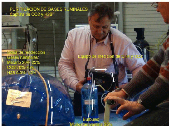 Producción de energía a partir de los gases ruminales del bovino - Image 20