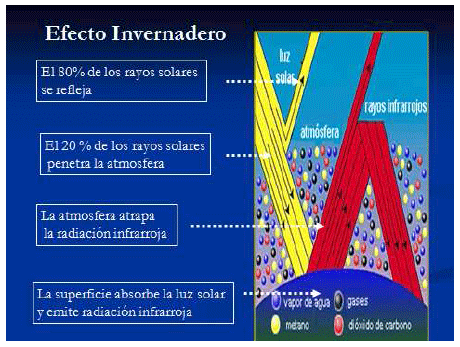 Producción de energía a partir de los gases ruminales del bovino - Image 2