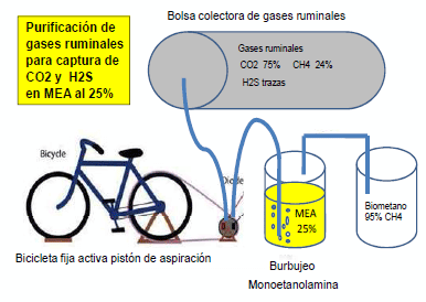 Producción de energía a partir de los gases ruminales del bovino - Image 21