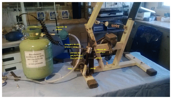 Producción de energía a partir de los gases ruminales del bovino - Image 22