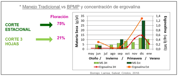 Imagen 4: Resultados de la variación en la producción de materia seca, concentración de ergoalcaloides y %floración en festuca con endófito durante un ciclo de crecimiento según el manejo de la defoliación (presentado en Jornada Ganadera, Borrajo 2023).