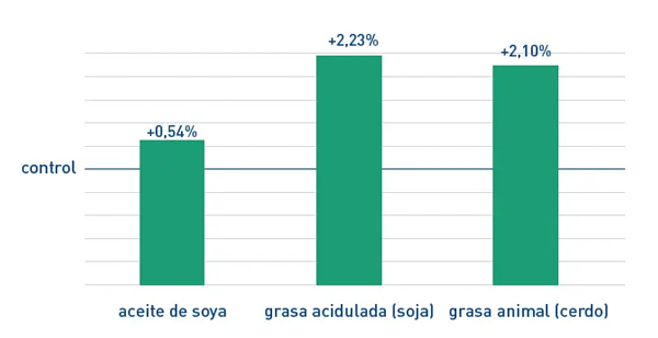 Cómo promover el crecimiento y las características del canal en cerdos - Image 1