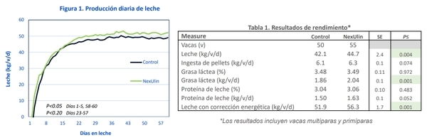 Nutrición más allá del Rumen - Image 3