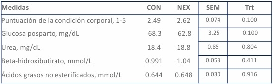 Nutrición más allá del Rumen - Image 12