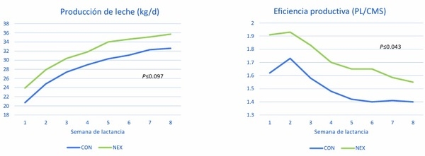 Nutrición más allá del Rumen - Image 11