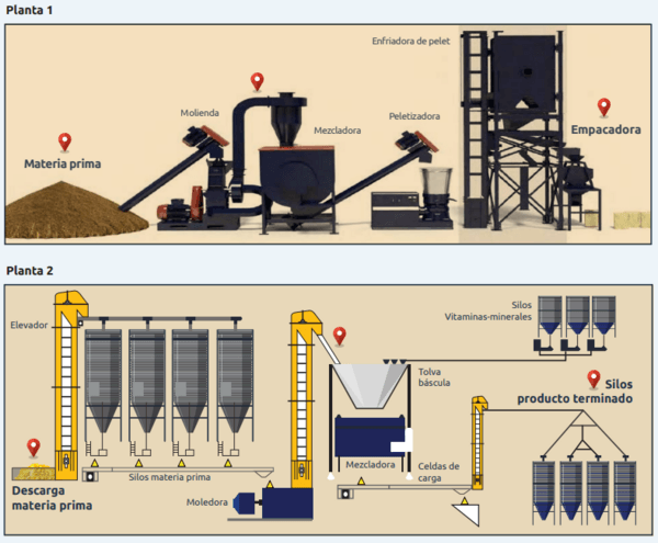 Cómo tomar muestras para la detección de micotoxinas en granos y alimentos balanceados - Image 1