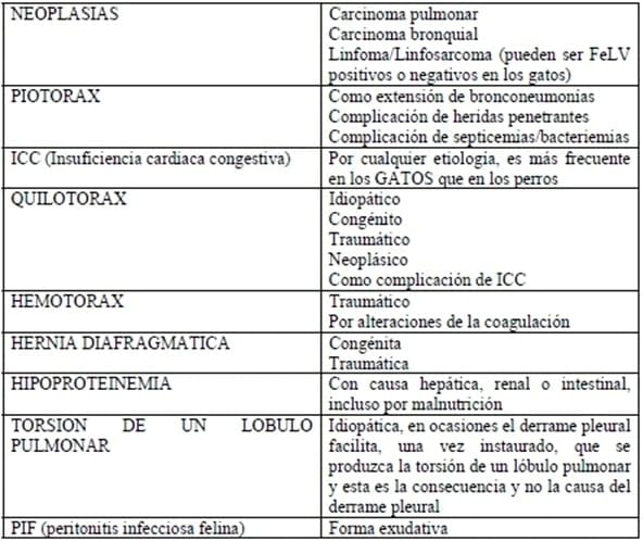 Derrames pleurales en animales de compañía - Aproximación al diagnóstico - Image 5