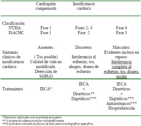 Patologías cardiacas caninas: Incidencia e importancia clínica - Image 2