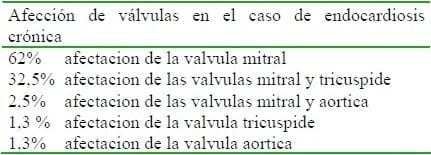 Patologías cardiacas caninas: Incidencia e importancia clínica - Image 1