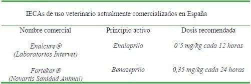 Patologías cardiacas caninas: Incidencia e importancia clínica - Image 3