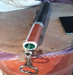 Protocolo de extracción de líquido ruminal mediante sonda oro-ruminal en bovinos - Image 3