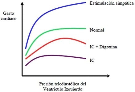 Farmacocinética y farmacodinamia de la digoxina en perros y gatos - Image 4