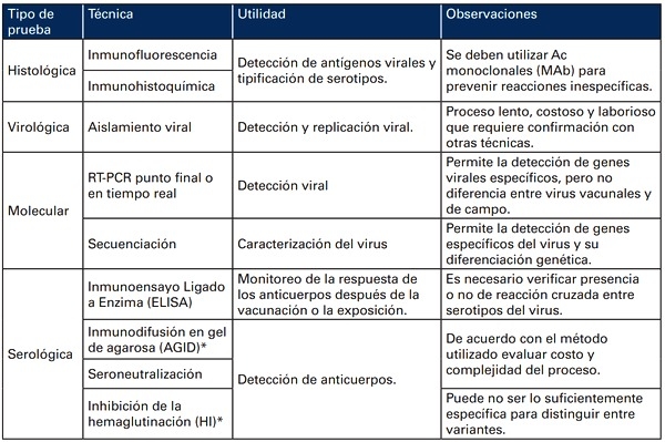 Bronquitis Infecciosa Aviar - Image 8