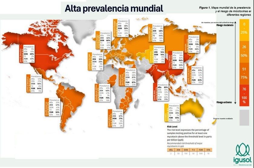 Cambio climático y micotoxinas: una amenaza creciente para la seguridad alimentaria - Image 1