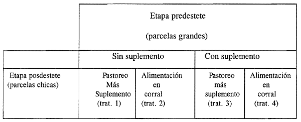 Opciones de alimentación pre y posdestete en becerras charolais - Image 4