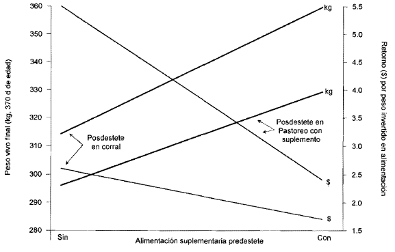 Opciones de alimentación pre y posdestete en becerras charolais - Image 6