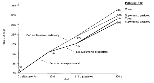 Opciones de alimentación pre y posdestete en becerras charolais - Image 5